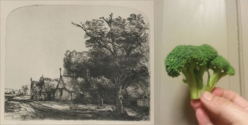 printmakersopenforum:  A grad Art History prof told us that Rembrandt modeled his trees from broccoli. Last night was the moment of truth. 