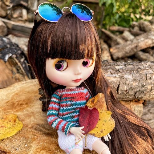 Autumn is coming, so the new sweater is complete...#блайз #блайзтбл #блайзочка #blythedoll #