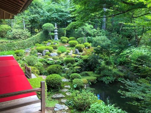 ＼おにわさん更新情報／ ‪[ 京都市左京区 ] 大原三千院庭園 Sanzenin Temple Garden, Ohara, Kyoto の写真・記事を更新しました。 ーー武将＆茶人 #金森宗和 が手