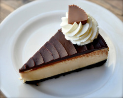 calorie-gallery:  Follow me for more HD picture of your fav. food ! :)