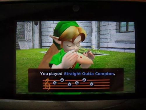 madam-shogun-assassin:  Link knows whats up