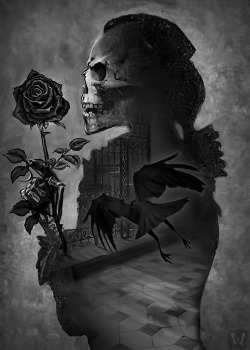 whitesoulblackheart:  Rose of Udolpho (Alchemy