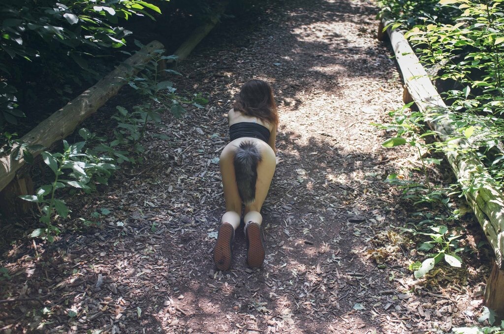 kennelmaster:Feeling Foxyhttp://imgur.com/a/3nUk1