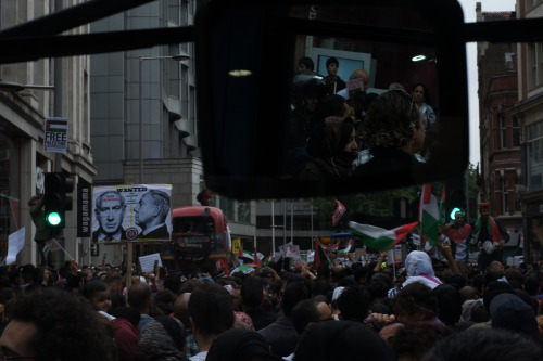 Pro Palestine ProtestPhotographed July 2014