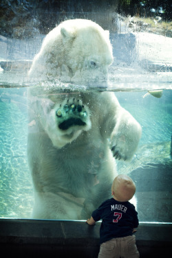 mystic-revelations:  Baby &amp; Polar Bear (by Official San Diego Zoo)