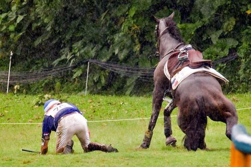 otteventer: blondieinbreeches:  shithorsessay:  terribly-endearing:  They’re in the same posit