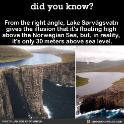 did-you-kno:  From the right angle, Lake  Sørvágsvatn gives the illusion  that it’s floating high above the  Norwegian Sea, but in reality it’s  only 30 meters above sea level.  Source 