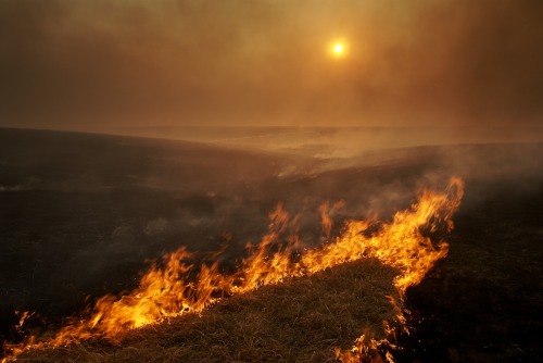 pleoros:  Flint Hills Spring Burn by Jim Richardson 