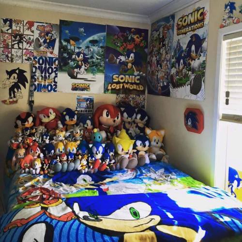 I am pure Sonic the Hedgehog trash and proud of it! LOL, this isn’t even all of my Sonic crap either