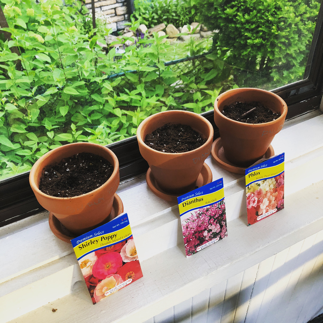 All Beats! — SEEDZ planting seeds #naturelovers #teachemyoung...