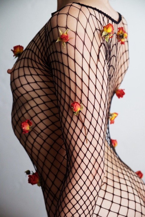 Sex brookelynne: fishnet flowers | self-portraits pictures