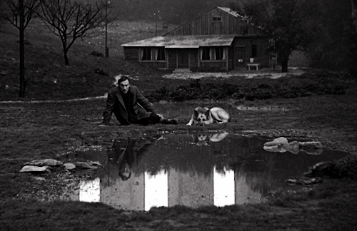 filmgifs:Nostalghia (1983) dir. Andrei Tarkovsky adult photos