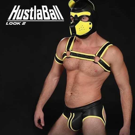 mr-s-leather:  #Hustlaball pups! Is This weekend in SF. We got your tickets and looks