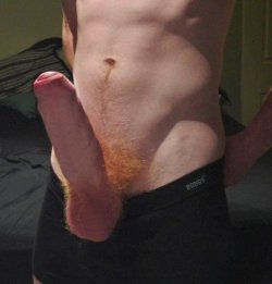 capt-pike:  pswalkhike:  gaycumeatingishott:  Ginger cock  You got my Dream Dick!   #ginger