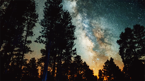 Meet me in that wonderful dream…..