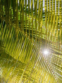 jasonhenryphoto:  three textures. El Salvador, 2015