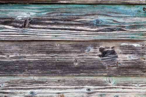 These fish and little turtles(bottom pic) were carved right into the wooden siding on this forgotten