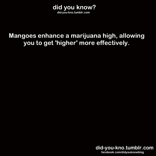 did-you-kno:  Source