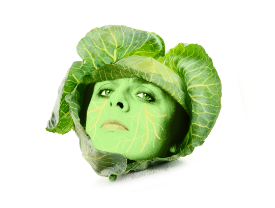 mypasalacqua:  billiejoezee:  billiepocalypse:  billiejoezee:  mypasalacqua:  this