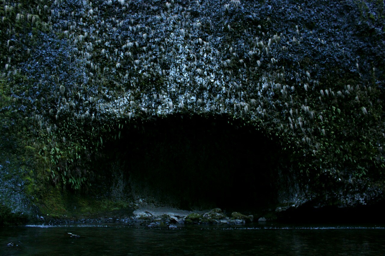 overnitereligion:  eagle creek/punchbowl falls, oregon