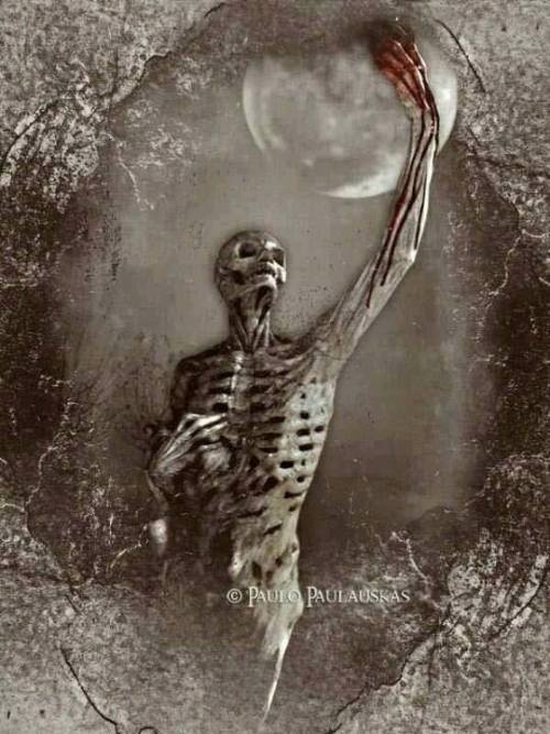 Morbid Beauty