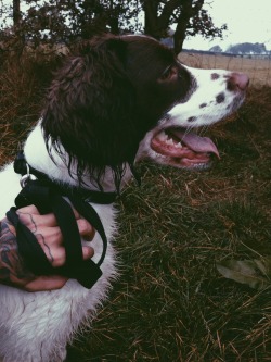 danielodowd:  Charlie loves walkies