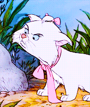 notjustfairytales:  ♔ disney meme  ↳ [8/8] characters: Marie 