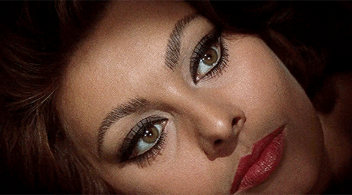 assyrianjalebi:Sophia Loren in Arabesque (1966), dir. Stanley Donen