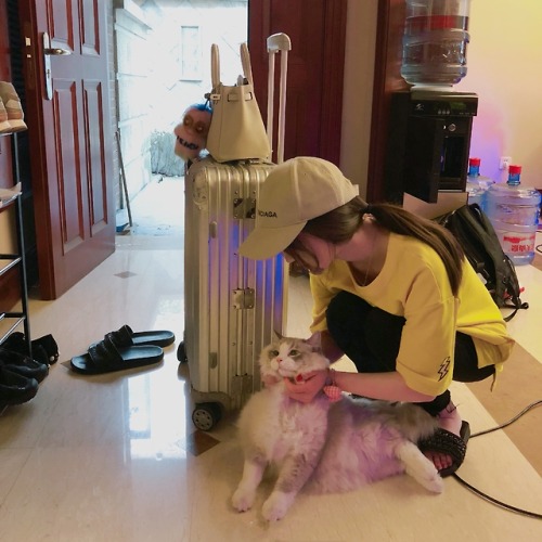 奶奶家的猫 再大些就真的抱不动啦