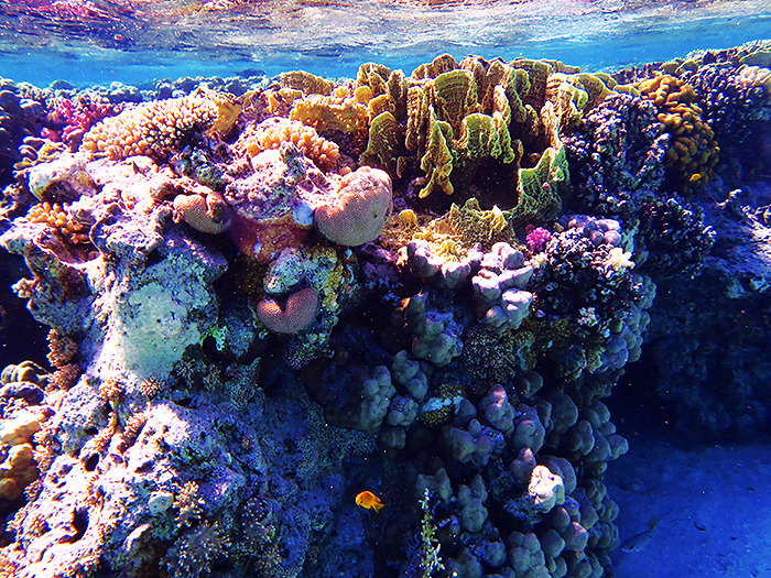 takemetothedungeons:  Satayah, Egypt - October 2013 