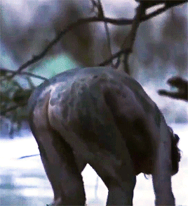 74732189a8c1c8443f4689a09d5c30b69e0fd406.gifv