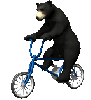 bear on bicycle