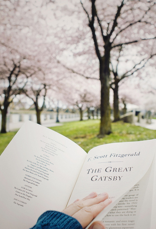 littledallilasbookshelf:  a few of my favorite things by Danielle Hughson on Flickr.