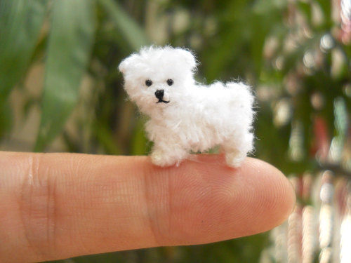 actuallyaprincess:boundunbound:moarrrmagazine:Miniature dogs by SuAmiwhat the fuck so cute and silly