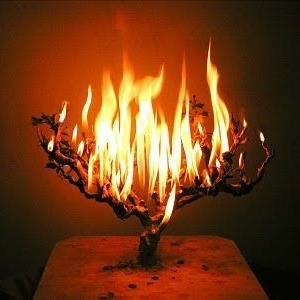 bimbandboozled: Masochist ➤ Palaye Royale you’ll see they burn into my mind it bleeds thr
