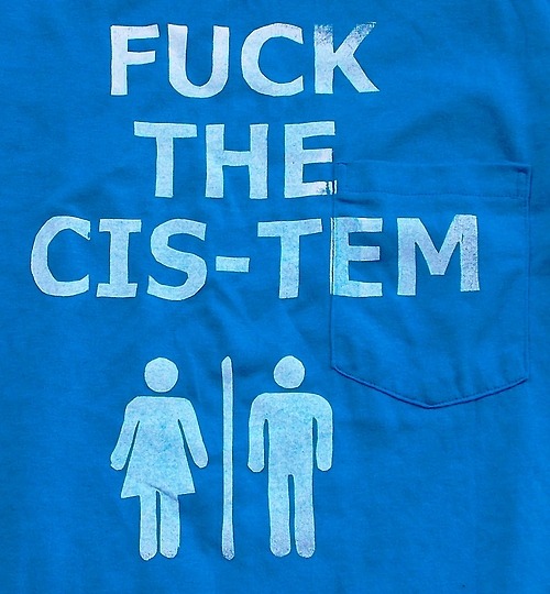 queernonywolf:  tortillapower:  Fuck The Cis-Tem Tshirts!http://www.etsy.com/shop/TortillaPower  o. m. g 