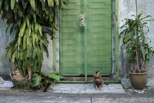 philmon:Gates of Geylang.