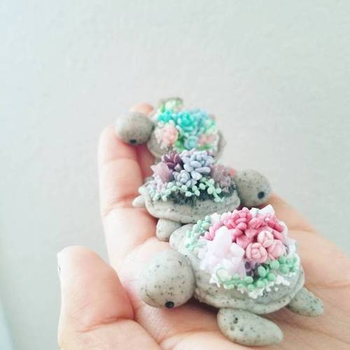 bright-eyes-hope: sosuperawesome: Succulent Turtles and Fruitles Charms by Claybie Charms on Instagr