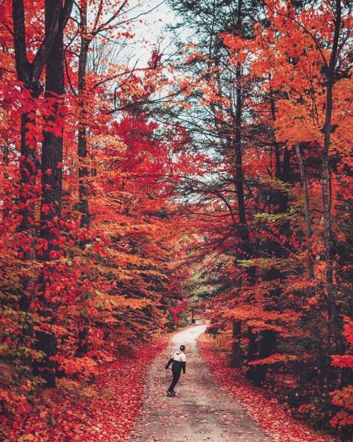 landscape-photo-graphy:Photographer Sanjay Chauhan Captures the Beauty of Canada’s Fall F