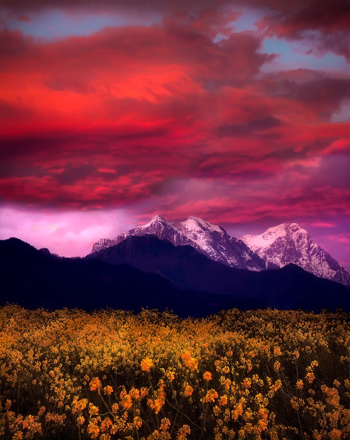 A Nature Blog
