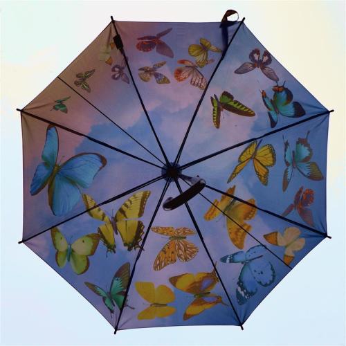 Bird and Butterfly Brollies, York, England.