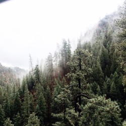 avoyageforever:  “I want to build a house right here, so I can see that everyday during the winter.” Something I said to an older man while hiking. (at Flagstaff, Az)