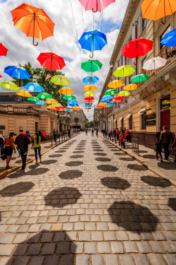 lensblr-network:  Umbrellas- Lviv, Ukraine