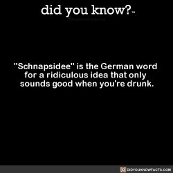 did-you-kno:  “Schnapsidee” is the German word  for a ridiculous idea that only  sounds good when you’re drunk.  Source Source 2 Source 3