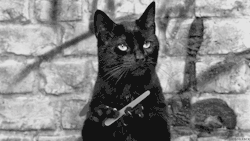 blueonly:  Quand je regarde ma mère engueuler mon frère pour un truc pour lequel je lui avais fait une remarque juste avant.