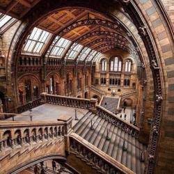 different-landscapes:Natural History Museum,