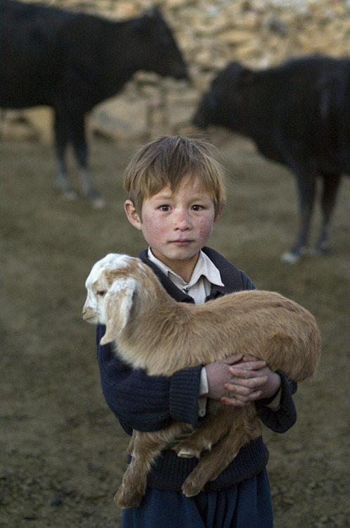 visitafghanistan: Bamiyan province, Afghanistan, 2006