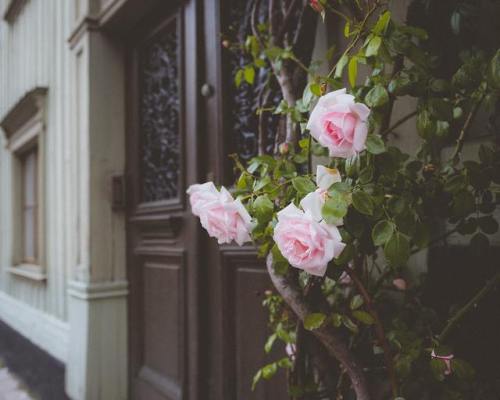 What a beautiful doorway, I’d love to live here…