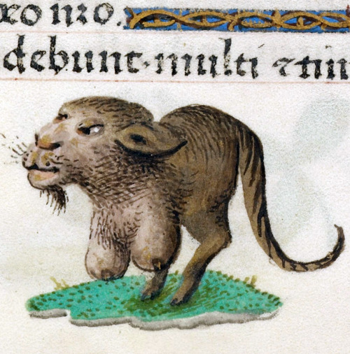 busty half-lioness&lsquo;Hours of Joanna the Mad&rsquo;, Bruges 1486-1506BL, Add 18852, fol. 381r