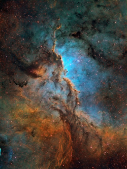 amazinguniverses:  Shaping NGC 6188 by Piotrek Sadowski